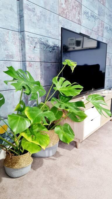 Stylish 2 Bedroom Apartment / Free Gated Parking Glasgow Esterno foto